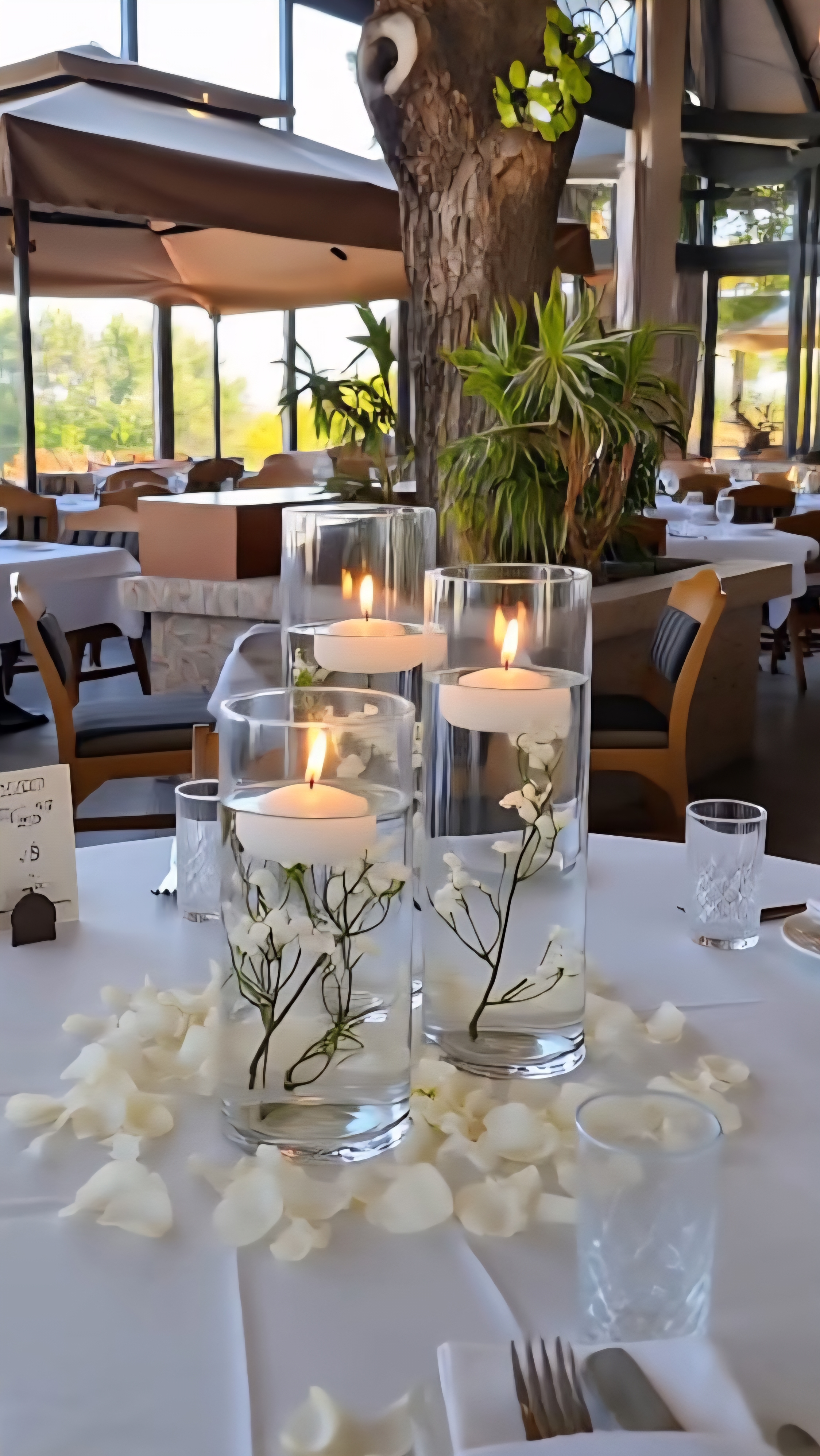 vidu-video-3122496859996753(1)