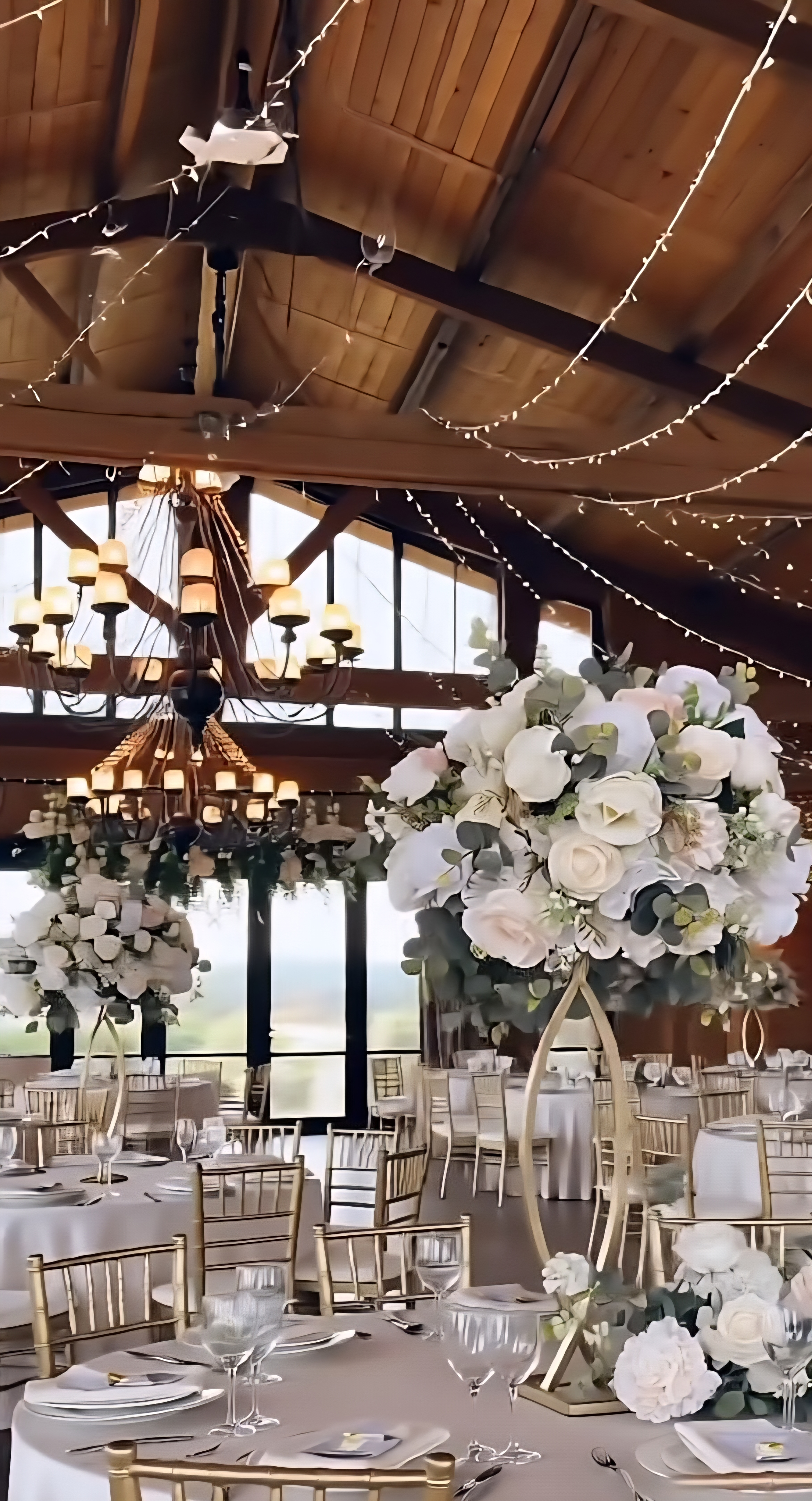 vidu-video-3122516072737269(3)