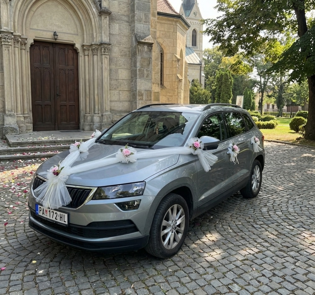 Set za kola S387-3-ROZA