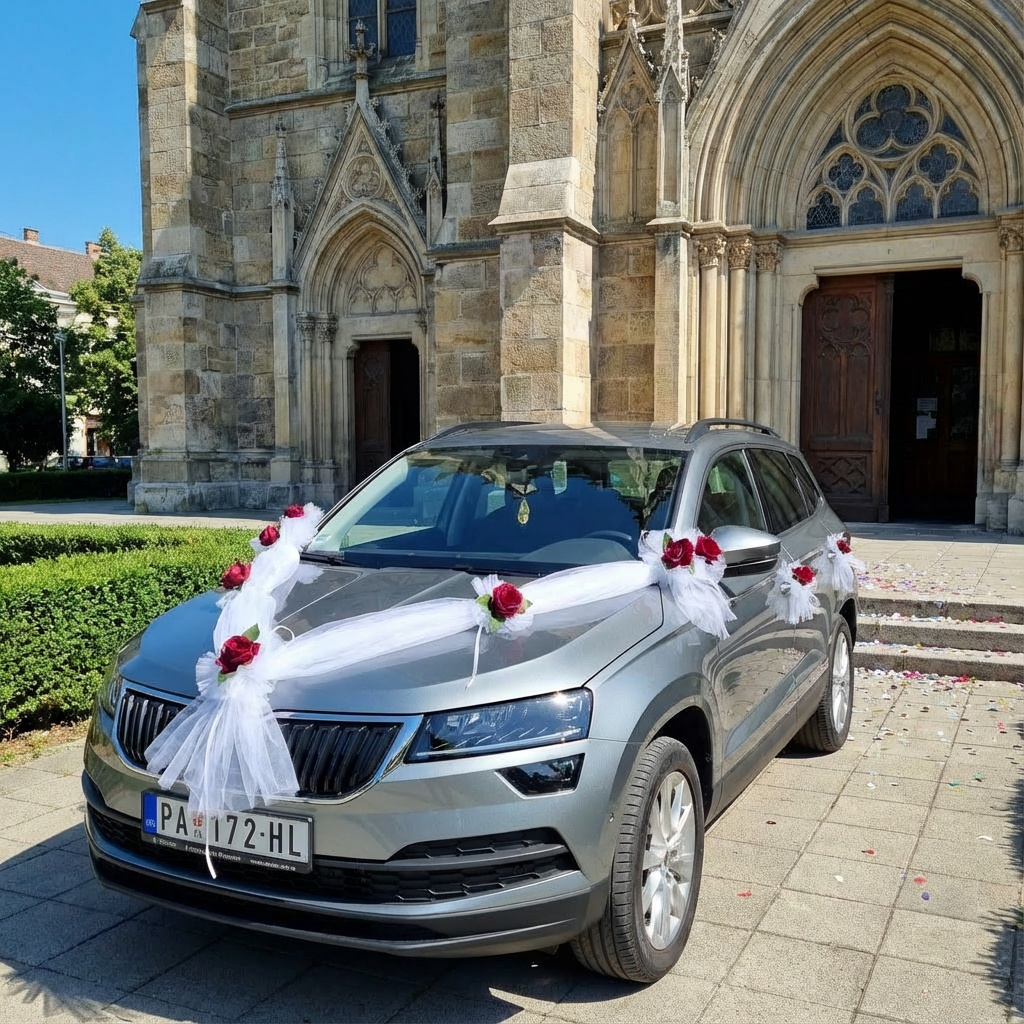 Set za kola S387-1 CRVENA