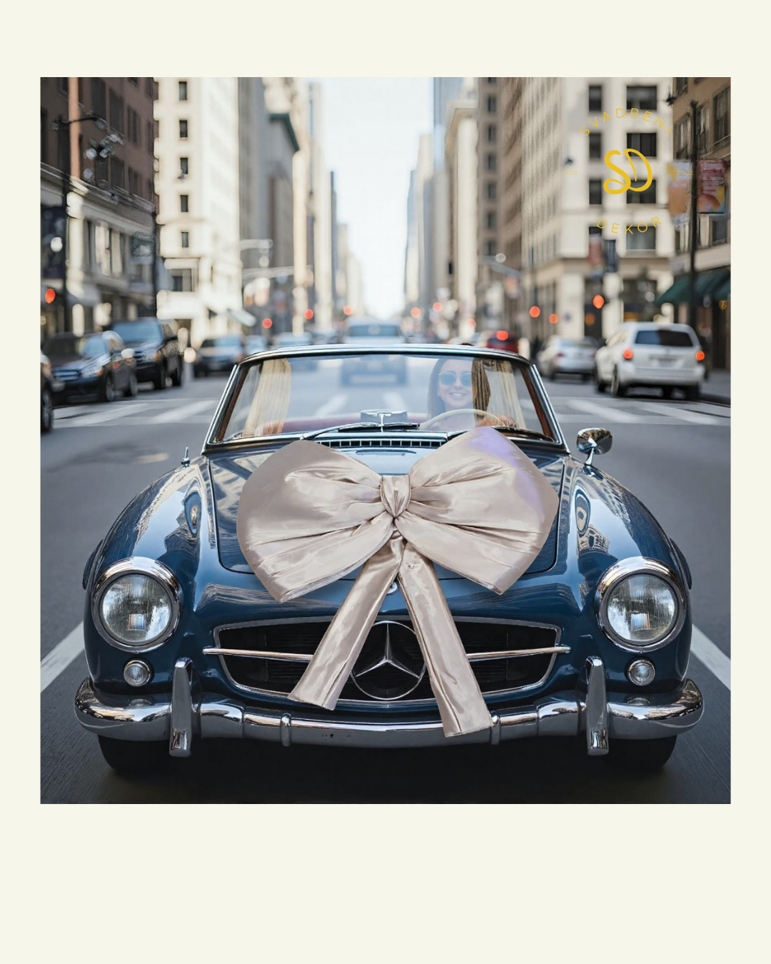 Masna velika za kola S366